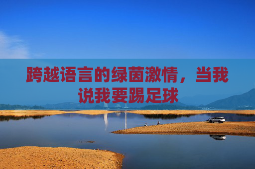 跨越语言的绿茵激情，当我说我要踢足球