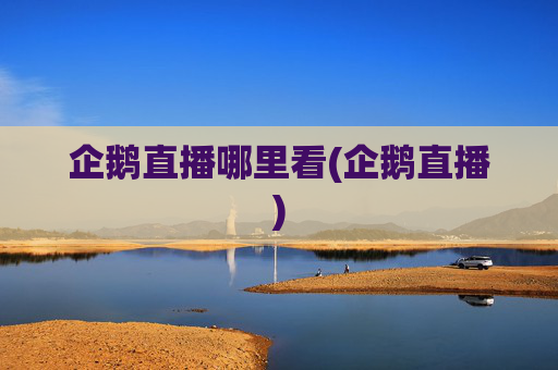 企鹅直播哪里看(企鹅直播)