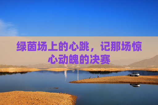 绿茵场上的心跳，记那场惊心动魄的决赛