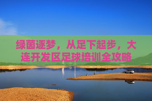 绿茵逐梦,从足下起步,大连开发区足球培训全攻略