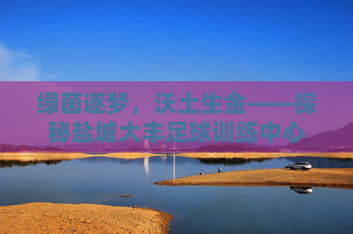 绿茵逐梦,沃土生金——探秘盐城大丰足球训练中心
