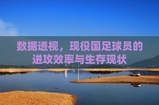 数据透视，现役国足球员的进攻效率与生存现状