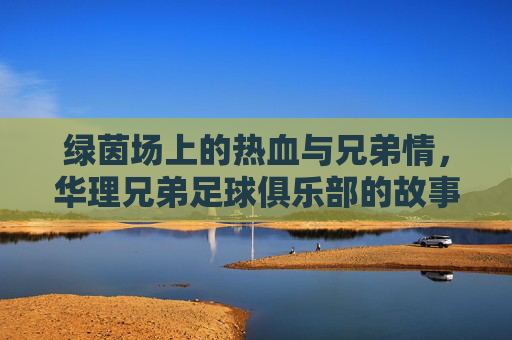 绿茵场上的热血与兄弟情,华理兄弟足球俱乐部的故事