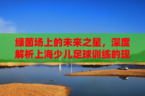 绿茵场上的未来之星,深度解析上海少儿足球训练的现状与价值