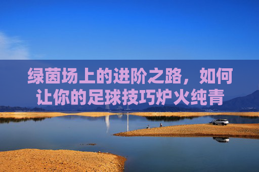 绿茵场上的进阶之路,如何让你的足球技巧炉火纯青