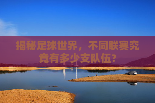 揭秘足球世界，不同联赛究竟有多少支队伍？