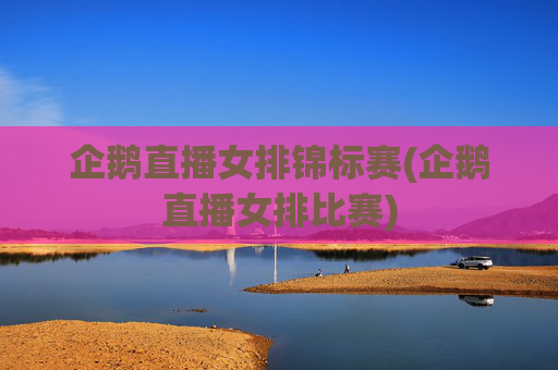 企鹅直播女排锦标赛(企鹅直播女排比赛)