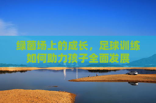 绿茵场上的成长，足球训练如何助力孩子全面发展