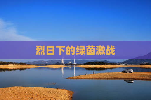 烈日下的绿茵激战