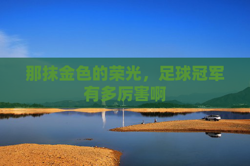 那抹金色的荣光，足球冠军有多厉害啊