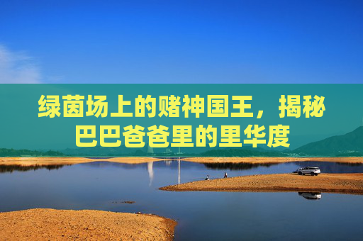 绿茵场上的赌神国王,揭秘巴巴爸爸里的里华度