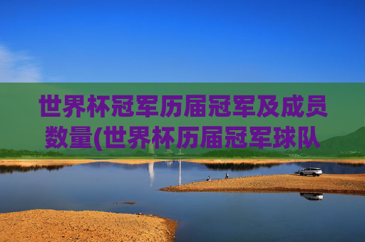 世界杯冠军历届冠军及成员数量(世界杯历届冠军球队)