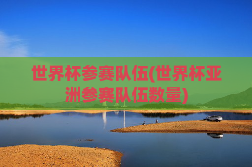 世界杯参赛队伍(世界杯亚洲参赛队伍数量)