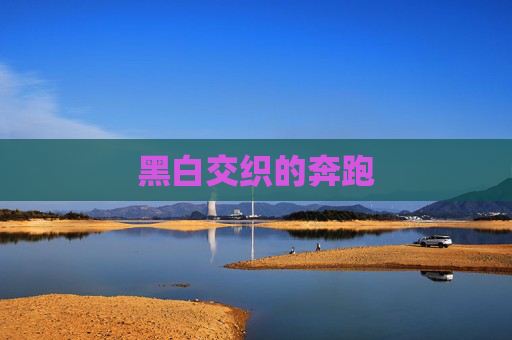 黑白交织的奔跑