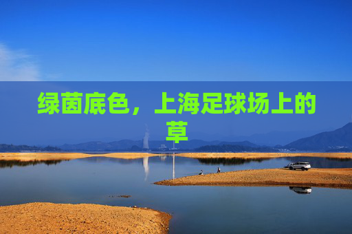 绿茵底色,上海足球场上的草