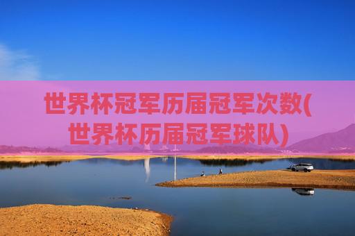 世界杯冠军历届冠军次数(世界杯历届冠军球队)