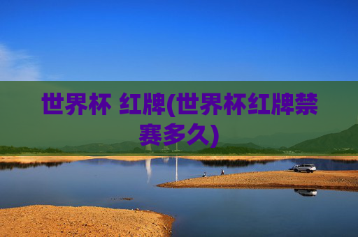 世界杯 红牌(世界杯红牌禁赛多久)