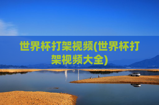 世界杯打架视频(世界杯打架视频大全)