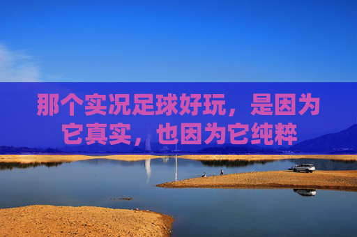 那个实况足球好玩，是因为它真实，也因为它纯粹