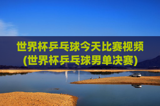 世界杯乒乓球今天比赛视频(世界杯乒乓球男单决赛)