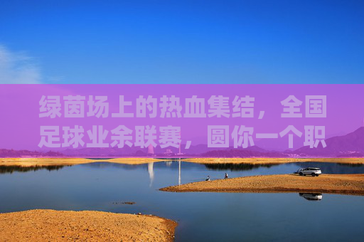 绿茵场上的热血集结,全国足球业余联赛,圆你一个职业足球梦