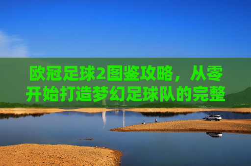 欧冠足球2图鉴攻略，从零开始打造梦幻足球队的完整指南