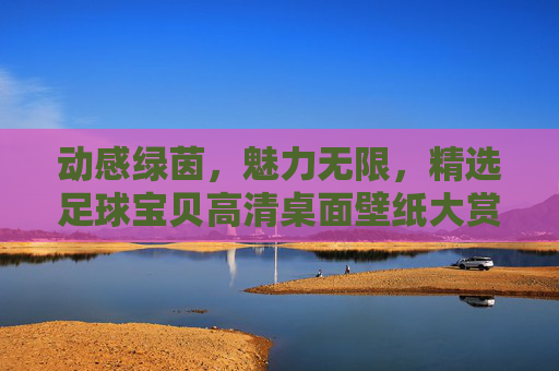 动感绿茵，魅力无限，精选足球宝贝高清桌面壁纸大赏