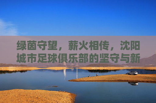 绿茵守望,薪火相传,沈阳城市足球俱乐部的坚守与新生