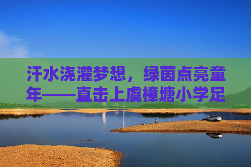 汗水浇灌梦想，绿茵点亮童年——直击上虞樟塘小学足球采访现场