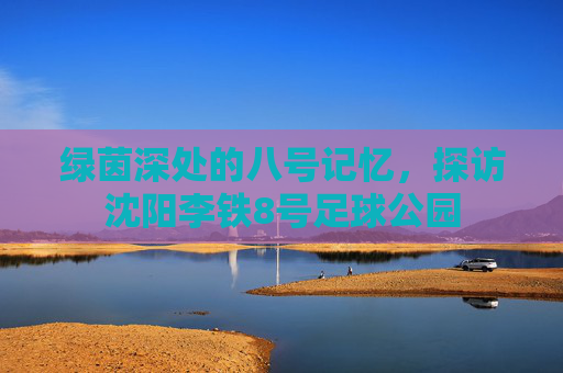 绿茵深处的八号记忆,探访沈阳李铁8号足球公园