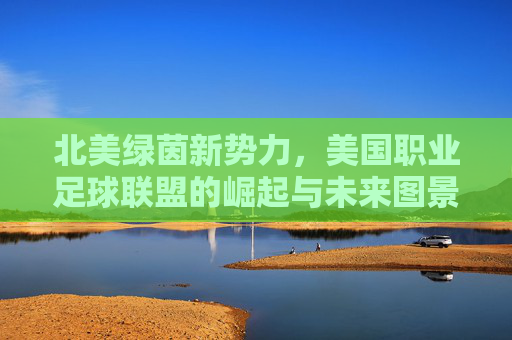 北美绿茵新势力,美国职业足球联盟的崛起与未来图景