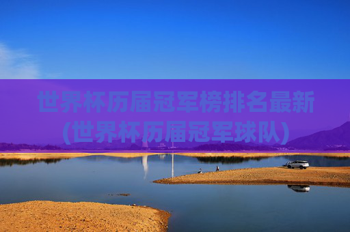 世界杯历届冠军榜排名最新(世界杯历届冠军球队)