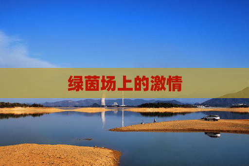 绿茵场上的激情