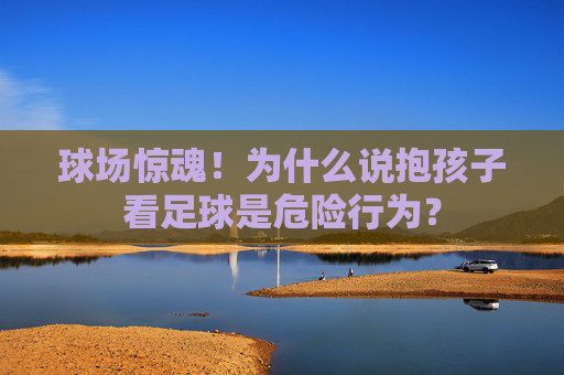 球场惊魂!为什么说抱孩子看足球是危险行为?