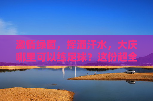 激情绿茵,挥洒汗水,大庆哪里可以练足球?这份超全攻略请收好!