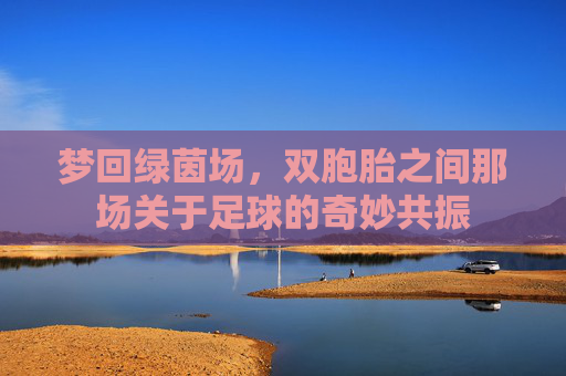 梦回绿茵场,双胞胎之间那场关于足球的奇妙共振