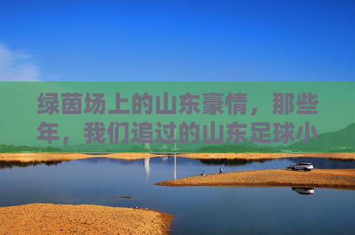 绿茵场上的山东豪情,那些年,我们追过的山东足球小故事