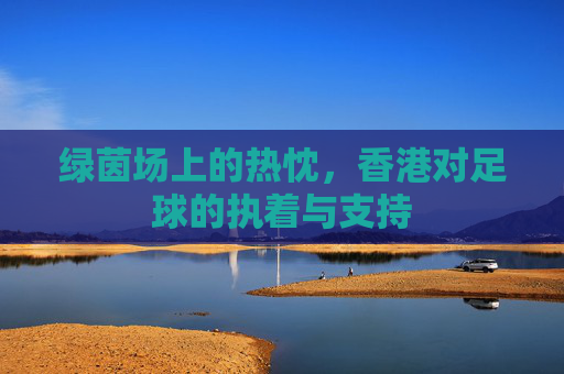 绿茵场上的热忱，香港对足球的执着与支持