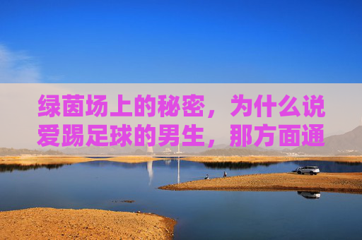 绿茵场上的秘密，为什么说爱踢足球的男生，那方面通常都不差？
