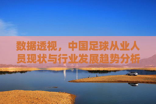 数据透视,中国足球从业人员现状与行业发展趋势分析