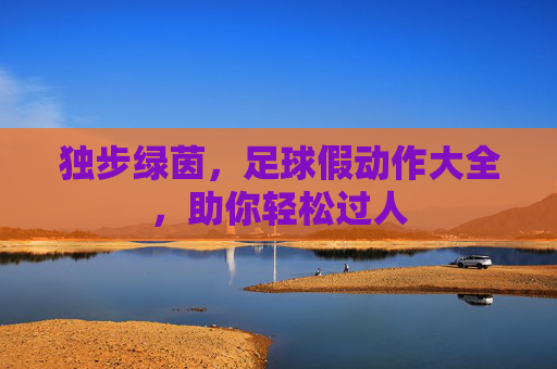 独步绿茵,足球假动作大全,助你轻松过人