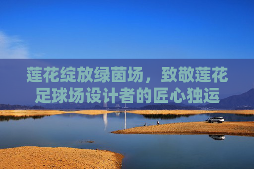 莲花绽放绿茵场，致敬莲花足球场设计者的匠心独运