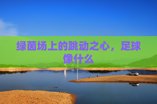 绿茵场上的跳动之心,足球像什么