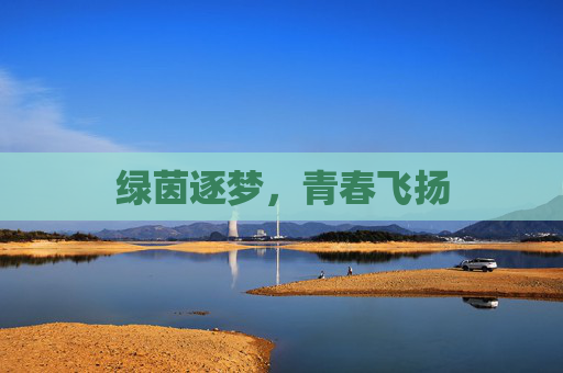 绿茵逐梦,青春飞扬