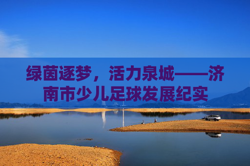 绿茵逐梦,活力泉城——济南市少儿足球发展纪实