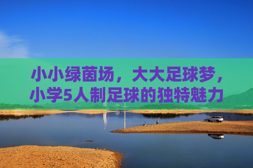 小小绿茵场,大大足球梦,小学5人制足球的独特魅力