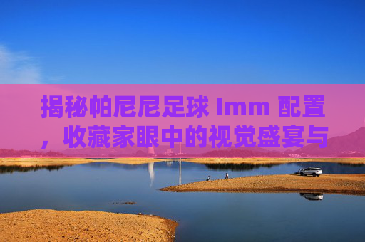 揭秘帕尼尼足球 Imm 配置,收藏家眼中的视觉盛宴与价值密码