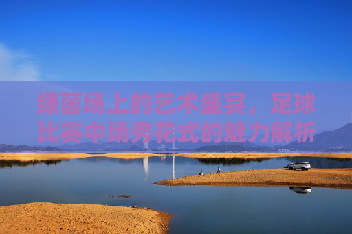 绿茵场上的艺术盛宴，足球比赛中场秀花式的魅力解析