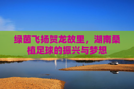 绿茵飞扬贺龙故里，湖南桑植足球的振兴与梦想