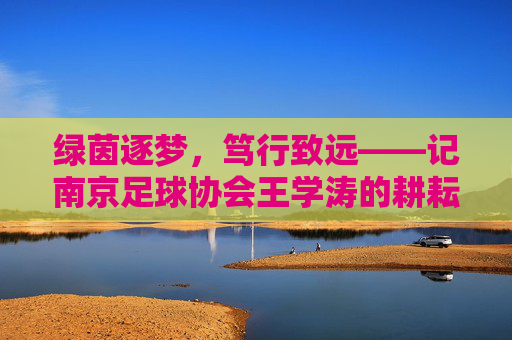 绿茵逐梦，笃行致远——记南京足球协会王学涛的耕耘与担当